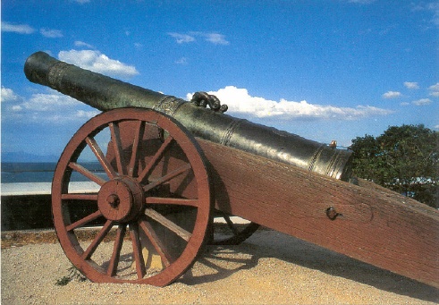 Cannon